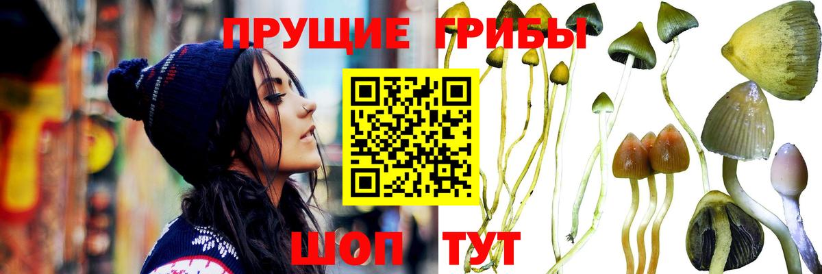 Галлюциногенные грибы GOLDEN TEACHER Губкинский